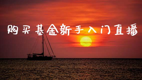 购买基金新手入门直播_https://www.lansai.wang_基金理财_第1张