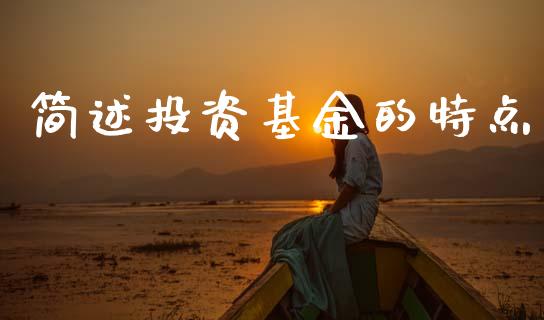 简述投资基金的特点_https://www.lansai.wang_基金理财_第1张
