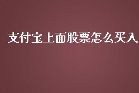 支付宝上面股票怎么买入_https://www.lansai.wang_股票问答_第1张