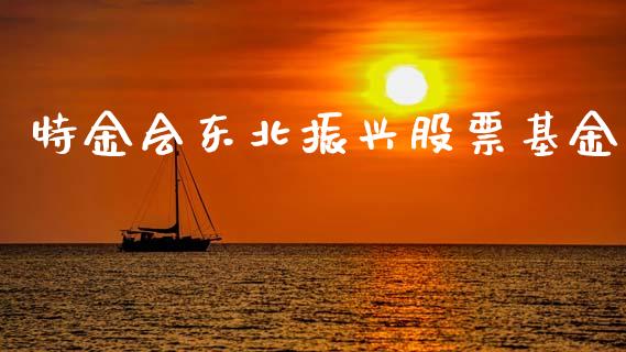 特金会东北振兴股票基金_https://www.lansai.wang_恒生指数_第1张