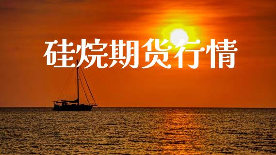 硅烷期货行情_https://www.lansai.wang_期货品种_第1张