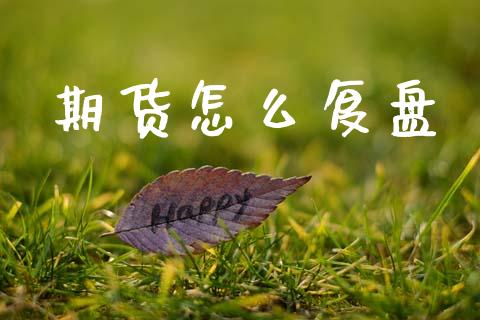 期货怎么复盘_https://www.lansai.wang_基金理财_第1张