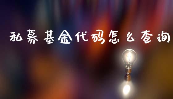 私募基金代码怎么查询_https://www.lansai.wang_基金理财_第1张