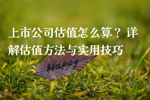 上市公司估值怎么算？ 详解估值方法与实用技巧_https://www.lansai.wang_股票问答_第1张