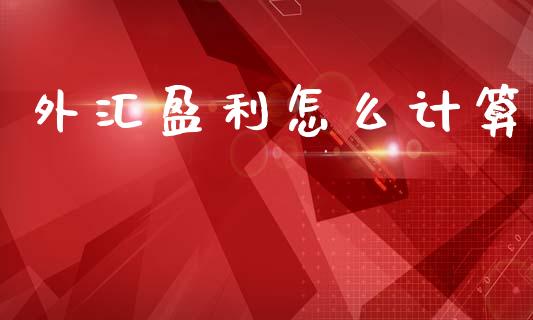 外汇盈利怎么计算_https://www.lansai.wang_基金理财_第1张