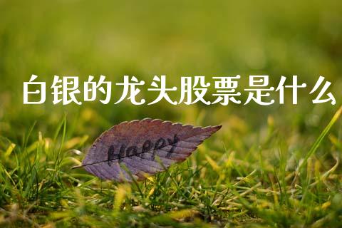 白银的龙头股票是什么_https://www.lansai.wang_恒生指数_第1张