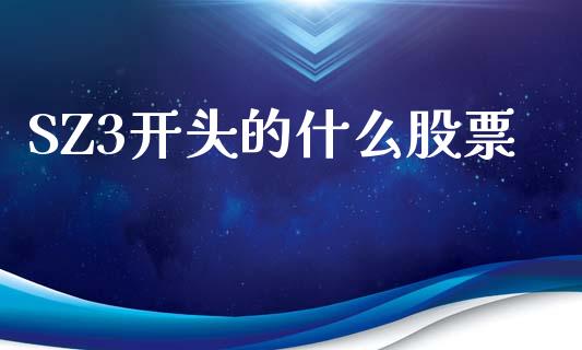 SZ3开头的什么股票_https://www.lansai.wang_基金理财_第1张