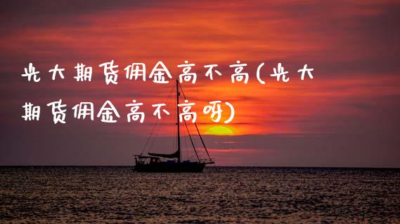 光大期货佣金高不高(光大期货佣金高不高呀)_https://www.lansai.wang_期货行情_第1张