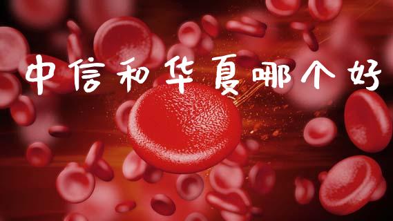中信和华夏哪个好_https://www.lansai.wang_基金理财_第1张