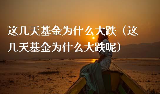 这几天基金为什么大跌（这几天基金为什么大跌呢）_https://www.lansai.wang_基金理财_第1张
