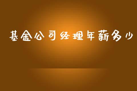 基金公司经理年薪多少_https://www.lansai.wang_基金理财_第1张