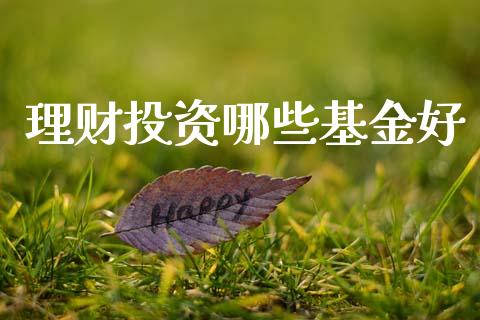 理财投资哪些基金好_https://www.lansai.wang_基金理财_第1张