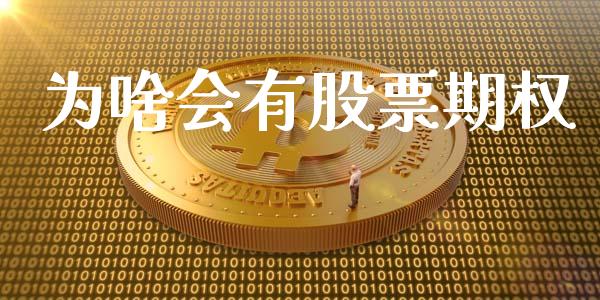 为啥会有股票期权_https://www.lansai.wang_期货资讯_第1张