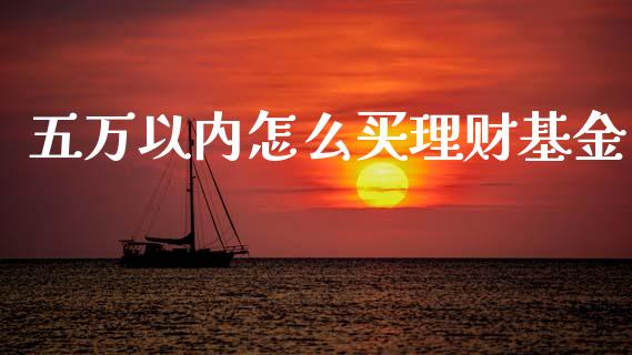 五万以内怎么买理财基金_https://www.lansai.wang_基金理财_第1张