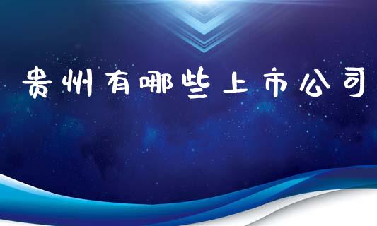 贵州有哪些上市公司_期货学院_第1张_起点财经 贵州有哪些上市公司_https://www.lansai.wang_期货学院_第1张