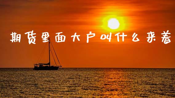 期货里面大户叫什么来着_https://www.lansai.wang_恒生指数_第1张