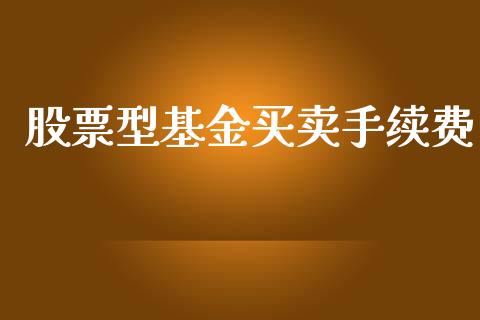 股票型基金买卖手续费_https://www.lansai.wang_基金理财_第1张