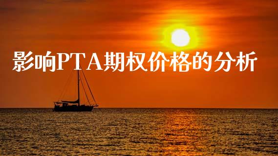 影响PTA期权价格的分析_https://www.lansai.wang_期货学院_第1张