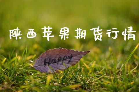 陕西苹果期货行情_https://www.lansai.wang_未分类_第1张