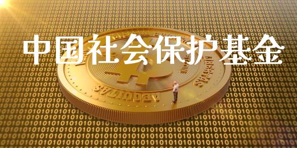 中国社会保护基金_https://www.lansai.wang_未分类_第1张