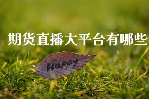 期货直播大平台有哪些_https://www.lansai.wang_期货直播_第1张
