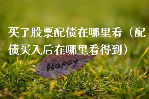 买了股票配债在哪里看（配债买入后在哪里看得到）_https://www.lansai.wang_股票知识_第1张