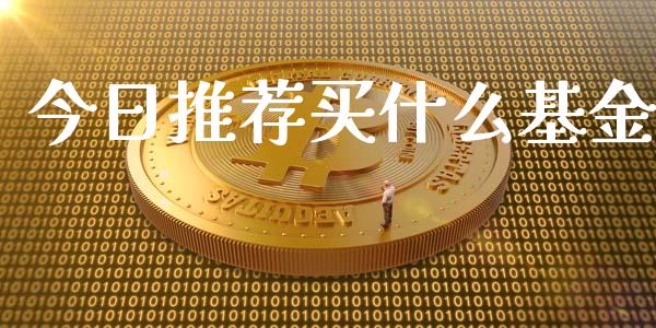 今日推荐买什么基金_https://www.lansai.wang_基金理财_第1张