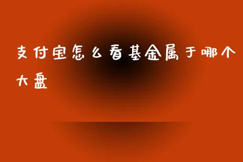支付宝怎么看基金属于哪个大盘_https://www.lansai.wang_基金理财_第1张