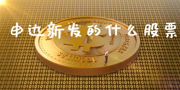 申达新发的什么股票_https://www.lansai.wang_期货行情_第1张