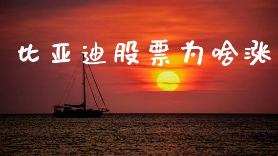 比亚迪股票为啥涨_https://www.lansai.wang_股票问答_第1张
