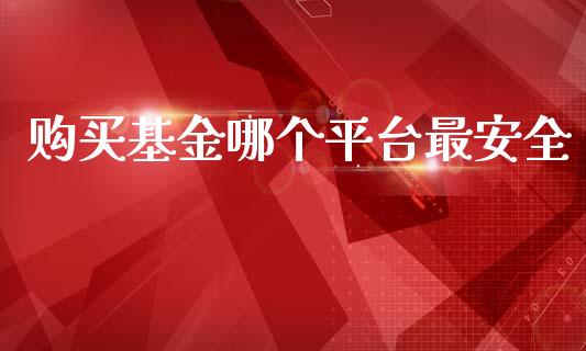 购买基金哪个平台最安全_https://www.lansai.wang_理财百科_第1张