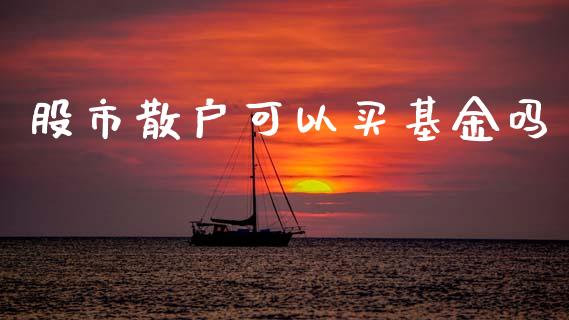 股市散户可以买基金吗_https://www.lansai.wang_基金理财_第1张
