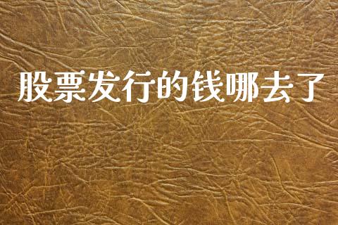 股票发行的钱哪去了_https://www.lansai.wang_期货行情_第1张