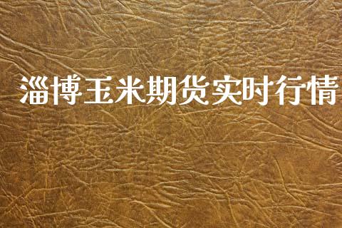 淄博玉米期货实时行情_https://www.lansai.wang_期货资讯_第1张
