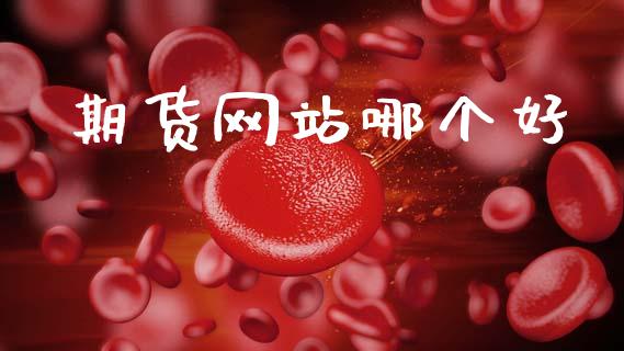 期货网站哪个好_https://www.lansai.wang_期货资讯_第1张