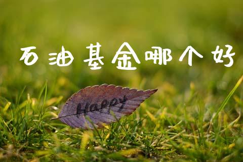 石油基金哪个好_https://www.lansai.wang_恒生指数_第1张