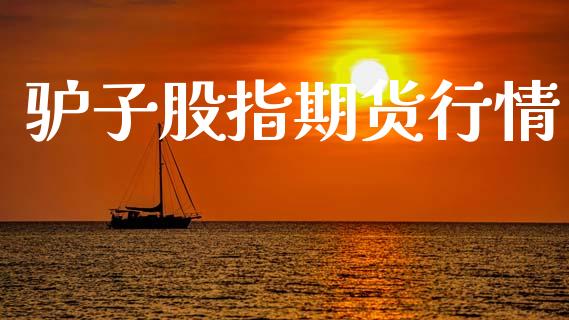 驴子股指期货行情_https://www.lansai.wang_未分类_第1张