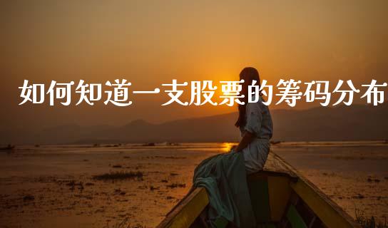 如何知道一支股票的筹码分布_https://www.lansai.wang_期货行情_第1张