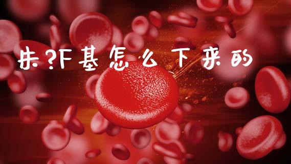 朱?F基怎么下来的_https://www.lansai.wang_期货行情_第1张