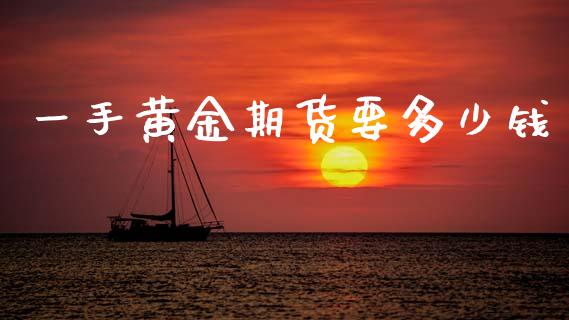 一手黄金期货要多少钱_https://www.lansai.wang_期货资讯_第1张
