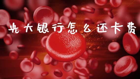 光大银行怎么还卡费_https://www.lansai.wang_期货资讯_第1张