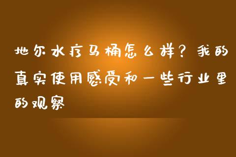 地尔水疗马桶怎么样？我的真实使用感受和一些行业里的观察_https://www.lansai.wang_期货品种_第1张