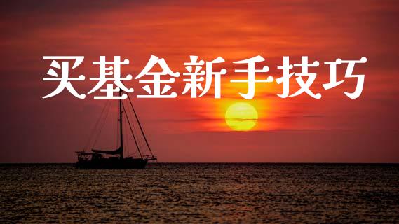 买基金新手技巧_https://www.lansai.wang_基金理财_第1张