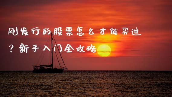 刚发行的股票怎么才能买进？新手入门全攻略_https://www.lansai.wang_期货品种_第1张