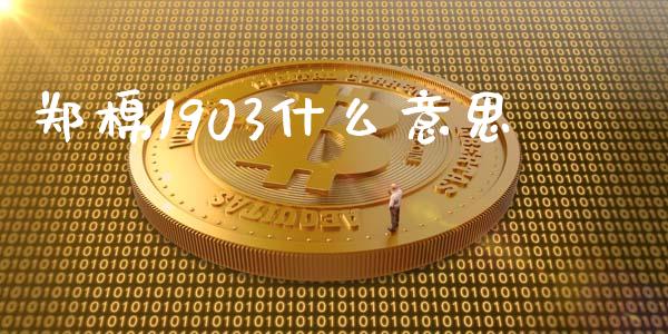 郑棉1903什么意思_https://www.lansai.wang_期货品种_第1张