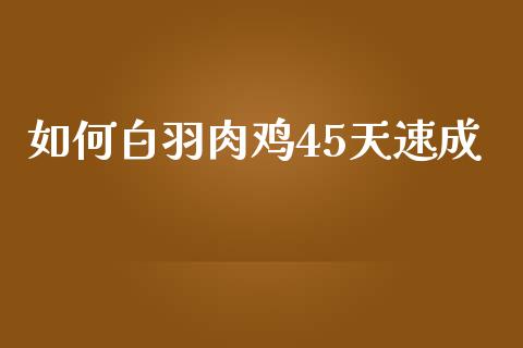 如何白羽肉鸡45天速成_https://www.lansai.wang_股票知识_第1张