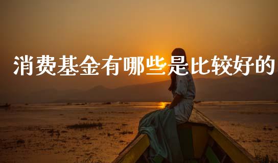 消费基金有哪些是比较好的_https://www.lansai.wang_基金理财_第1张