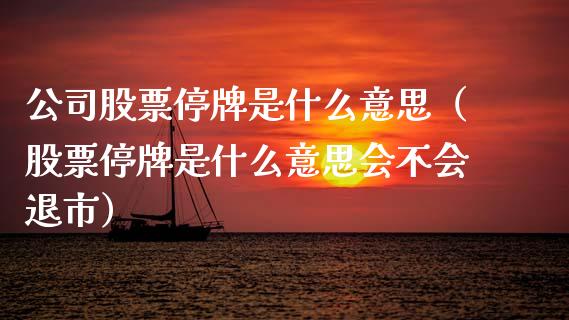 公司股票停牌是什么意思（股票停牌是什么意思会不会退市）_https://www.lansai.wang_股票知识_第1张