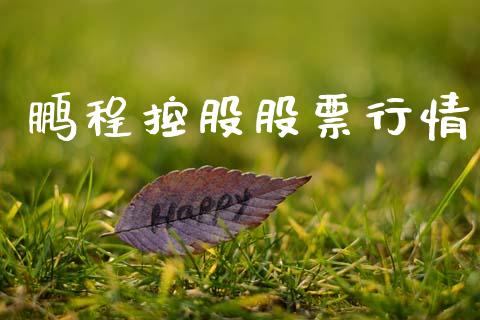 鹏程控股股票行情_https://www.lansai.wang_股票知识_第1张
