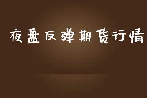 夜盘反弹期货行情_https://www.lansai.wang_期货资讯_第1张